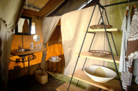 Intimate Camp Zebra