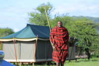 Embalakai Serengeti Camp