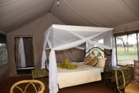 Serengeti Wild Camp