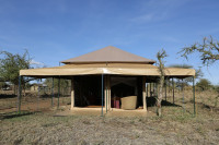 Serengeti Wild Camp
