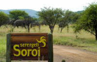 Mbali Mbali Soroi Serengeti