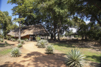 Wildlife Camp Zambia