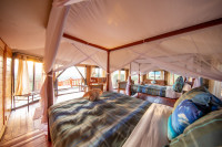 Serian Tarangire Camp