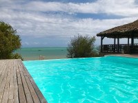 Le Paradisier