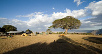 Ngorongoro Simba Campsite A Budget camping on the crater rim of Ngorongoro Crater – All Meals Included +2 Photos