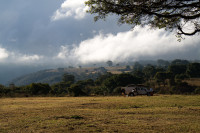 Ngorongoro Simba Campsite A Budget camping on the crater rim of Ngorongoro Crater – All Meals Included +2 Photos