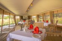 Serengeti Kuhama Camp