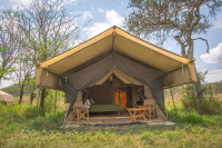 Serengeti Kuhama Camp
