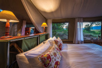 John's Camp