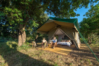 John's Camp