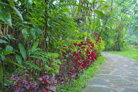 Kibale Forest Lodge
