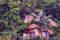 Paradise Kivu
