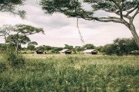Tarangire Tortilis Camp
