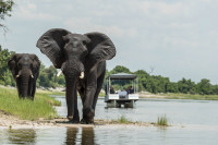 Muchenje Safari Lodge
