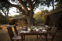 Chada Safari Camp Katavi