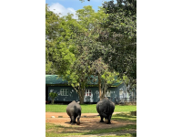 Ziwa Rhino and Wildlife Ranch - Guest House
