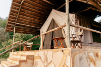 Babu's Camp