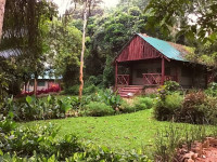 Kibale Forest Camp (Safari Tent)