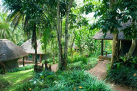 Kibale Forest Camp (Safari Tent)
