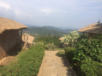 Gorilla Mist Camp