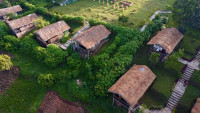 Gorilla Mist Camp