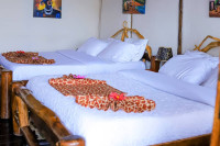 Gorilla Mist Camp