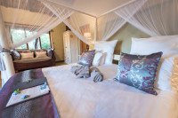Kambaku Safari Lodge