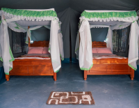 Miti Mingi Eco Camp