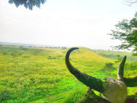 Pumba Safari Cottages