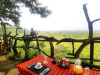 Pumba Safari Cottages