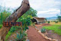 Kidepo Savannah Lodge (Budget Tent)