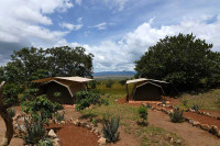 Kidepo Savannah Lodge (Budget Tent)