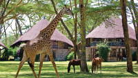 Lake Naivasha Sopa Resort