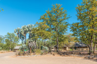 Shingwedzi Rest Camp