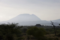 Kambi Ya Tembo