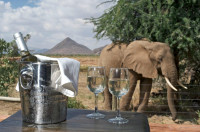 Ashnil Samburu Camp