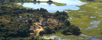 Orchidée du Bemaraha Hotel