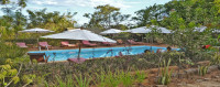 Orchidée du Bemaraha Hotel
