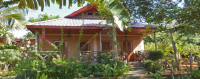 Orchidée du Bemaraha Hotel