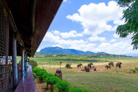 Ngulia Safari Lodge