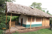 Broadbill Forest Camp