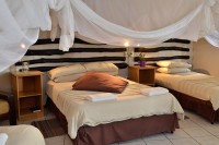 Quiver Tree Forest Rest Camp