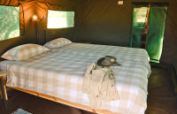 Omandumba Bush Camp