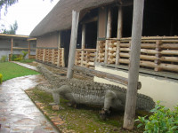 Lake Bunyonyi Eco Resort