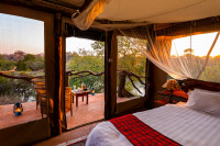 Fig Tree Bush Camp