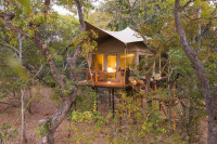 Fig Tree Bush Camp