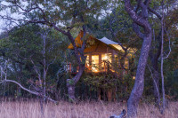 Fig Tree Bush Camp