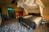 Shoebill Island Camp
