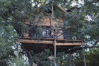 Marc's Treehouse Lodge (Treehouse)