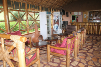 Chimpanzee Forest Lodge